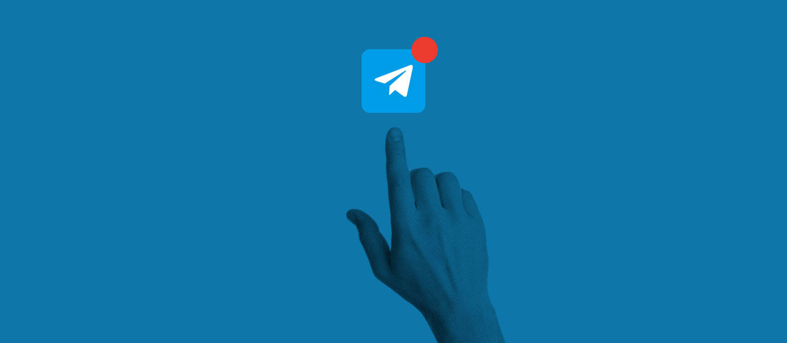 How to report a scam on Telegram - Red Points