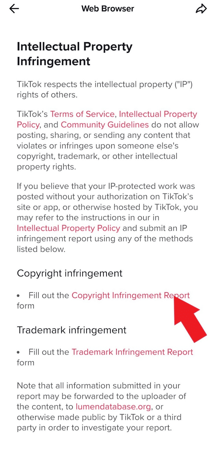 How to get someone else’s TikTok video taken down Red Points